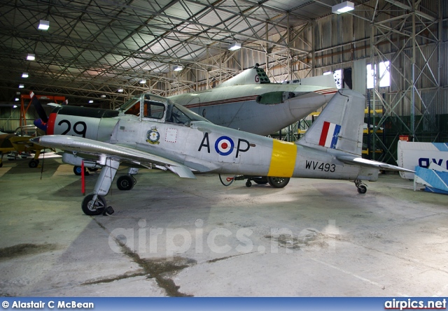 WV493, Percival Provost-T.1, Royal Air Force