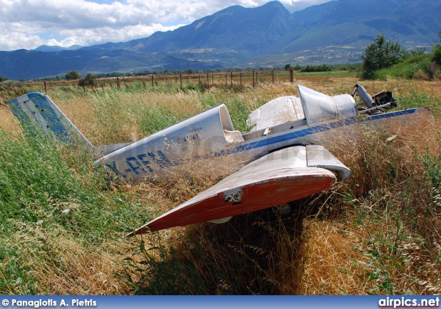 SX-AFM, Morane-Saulnier 880B Rallye Club, Private