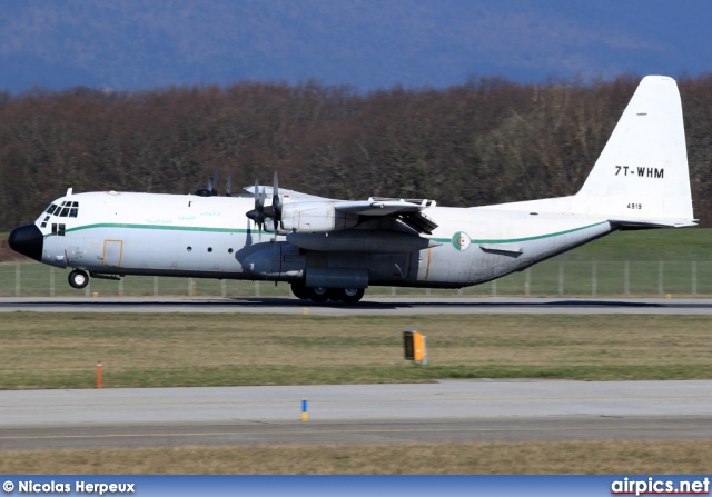 7T-WHM, Lockheed C-130-H-30 Hercules, Algerian Air Force