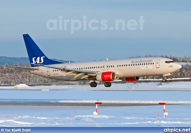 LN-RCX, Boeing 737-800, Scandinavian Airlines System (SAS)