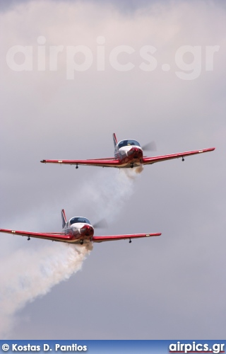 Alpi Aviation Pioneer 300-Hawk, Pioneer Team