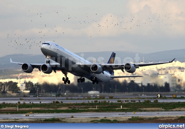 D-AIHL, Airbus A340-600, Lufthansa