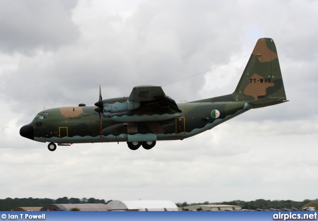 7T-WHE, Lockheed C-130-H Hercules, Algerian Air Force