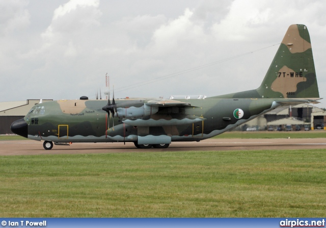 7T-WHE, Lockheed C-130-H Hercules, Algerian Air Force