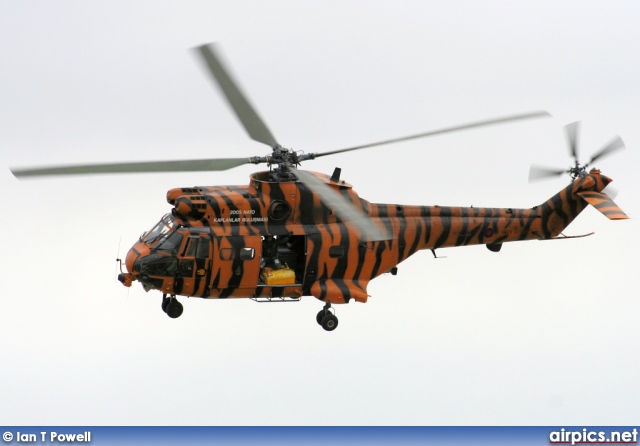 XW231, Westland Puma-HC.1, Royal Air Force