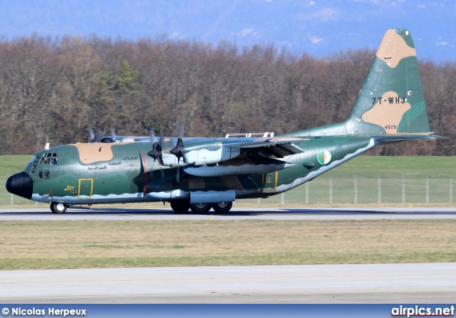 7T-WHJ, Lockheed C-130-H Hercules, Algerian Air Force
