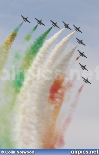 Aermacchi MB-339-PAN, Italian Air Force
