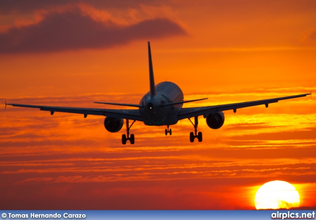 EI-IML, Airbus A319-100, Alitalia