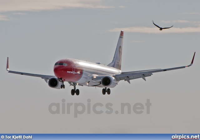 LN-NOP, Boeing 737-800, Norwegian Air Shuttle