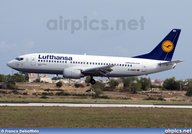 D-ABED, Boeing 737-300, Lufthansa