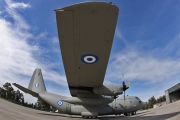 745, Lockheed C-130-H Hercules, Hellenic Air Force