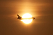 4L-TGM, Boeing 737-700, Georgian Airways