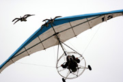 15, (Type) Ultralight-Trike, Private