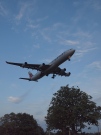 4R-ADF, Airbus A340-300, SriLankan