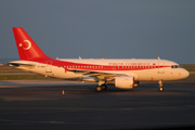 TC-ANA, Airbus A319-100CJ, Turkish Government