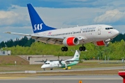 LN-RRY, Boeing 737-600, SAS Norge