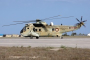 QA33, Westland Commando-Mk.3, Qatar Amiri Air Force