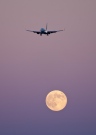 F-GZHE, Boeing 737-800, Transavia France