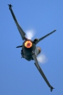 FA-95, Lockheed F-16-AM Fighting Falcon, Belgian Air Force