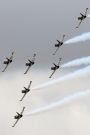 ES-TLF, Aero L-39-C Albatros, Breitling