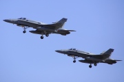 C.15-81, Boeing (McDonnell Douglas) F/A-18-A Hornet, Spanish Air Force