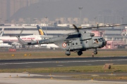 Z3373, Mil Mi-17, Indian Air Force