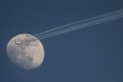 TC-JDM, Airbus A340-300, Turkish Airlines