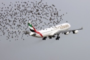 A6-ERT, Airbus A340-300, Emirates