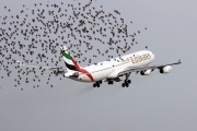 A6-ERT, Airbus A340-300, Emirates