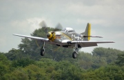 NX251RJ, North American TF-51-D Mustang, Untitled