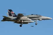 A21-110, Boeing (McDonnell Douglas) F/A-18-B Hornet, Royal Australian Air Force