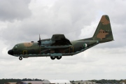 7T-WHE, Lockheed C-130-H Hercules, Algerian Air Force