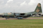 7T-WHE, Lockheed C-130-H Hercules, Algerian Air Force