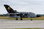 46-48, Panavia Tornado-ECR, German Air Force - Luftwaffe
