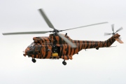 XW231, Westland Puma-HC.1, Royal Air Force